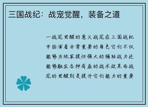 三国战纪：战宠觉醒，装备之道